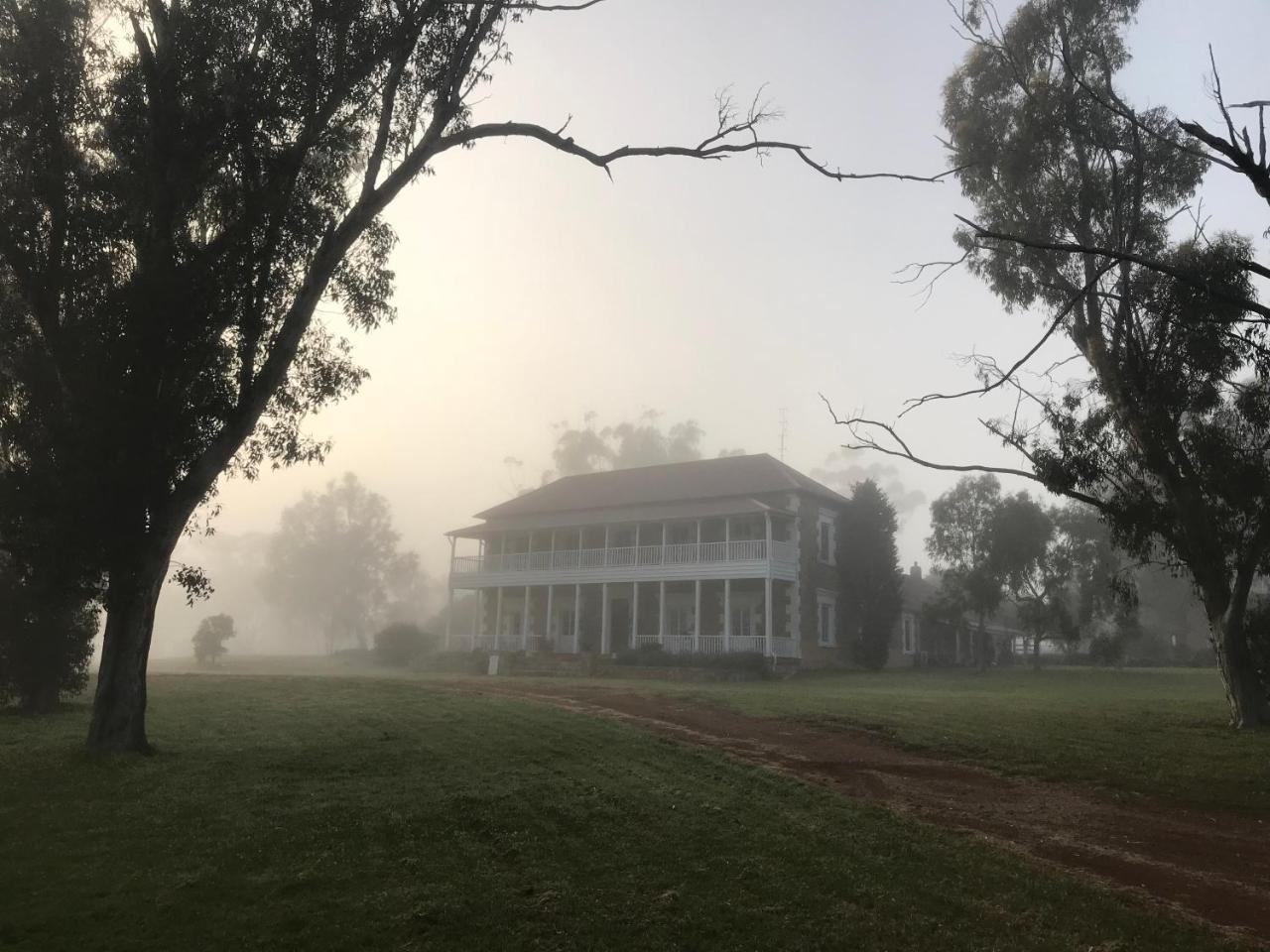 Dempster Cottage Irishtown Εξωτερικό φωτογραφία
